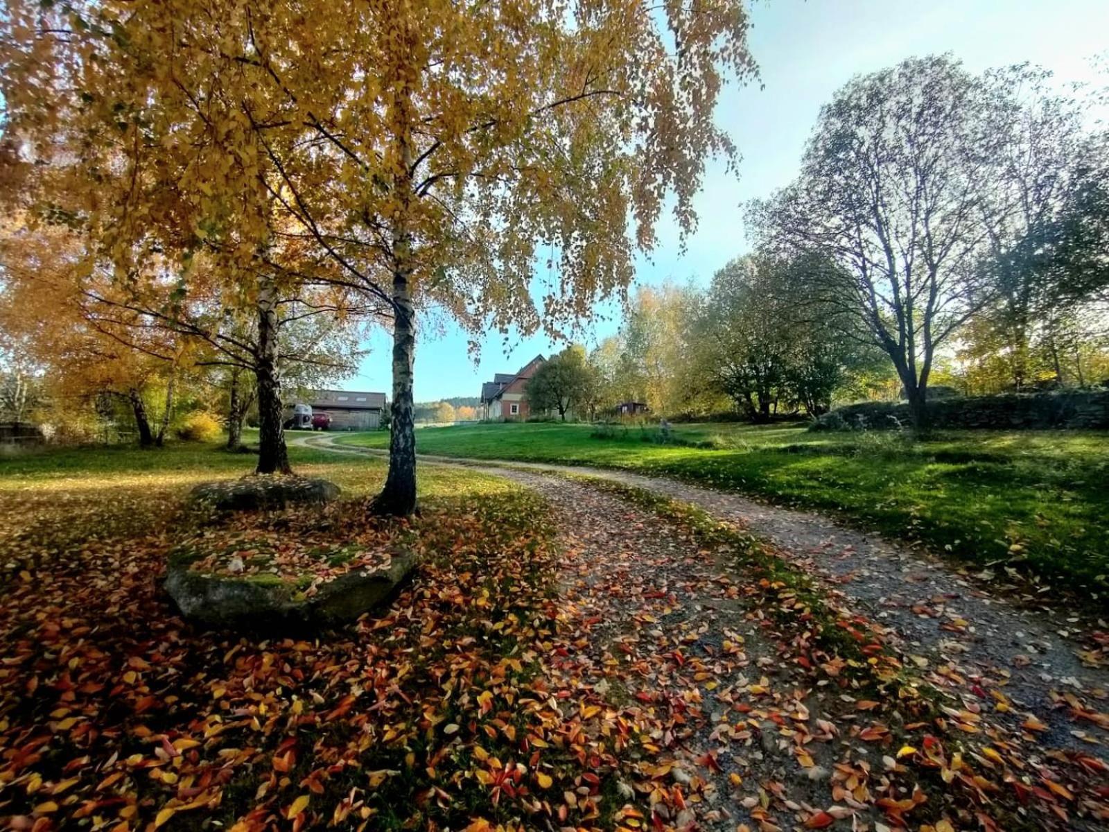 Apaluza - Unique Comfort & Relax In Nature Kopaniec المظهر الخارجي الصورة